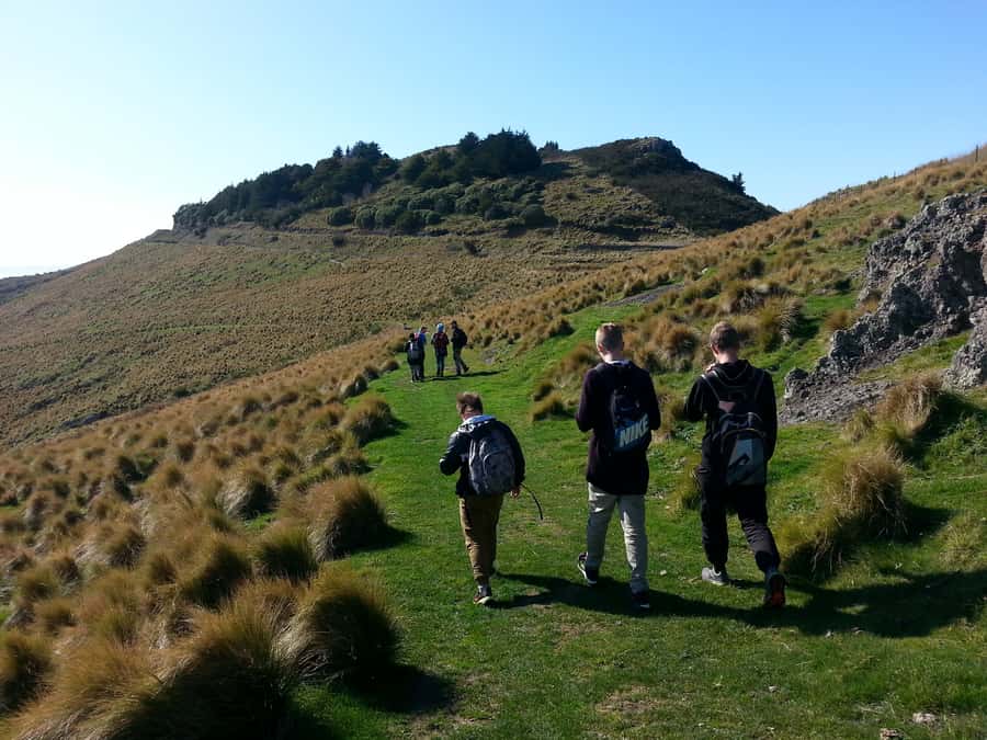 Christchurch: Packhorse Hut Guided Walk and Scenic Drive - Weather, cancellation, and practical planning