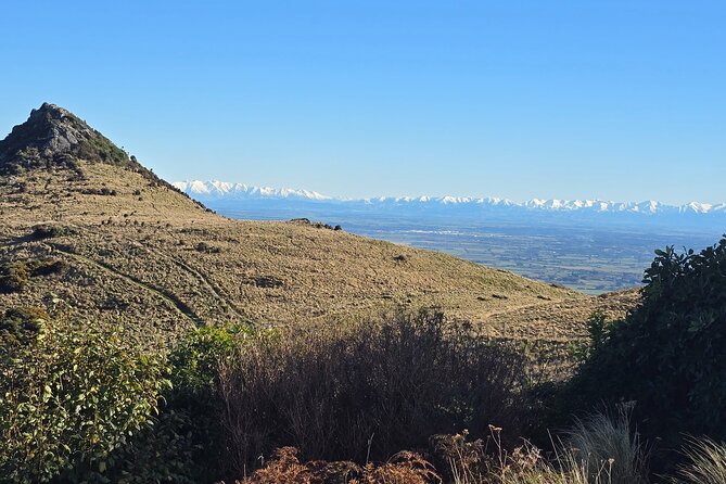 Christchurch Private Tour (Premium) Full day - Why this private Christchurch route works