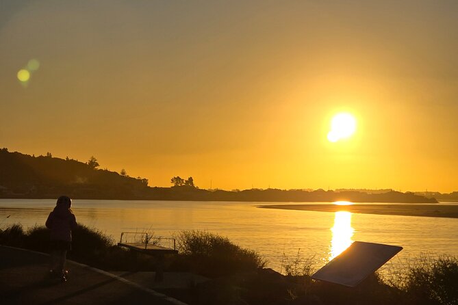 Christchurch Private Tour (Premium) Full day - Is $229.61 per person good value?