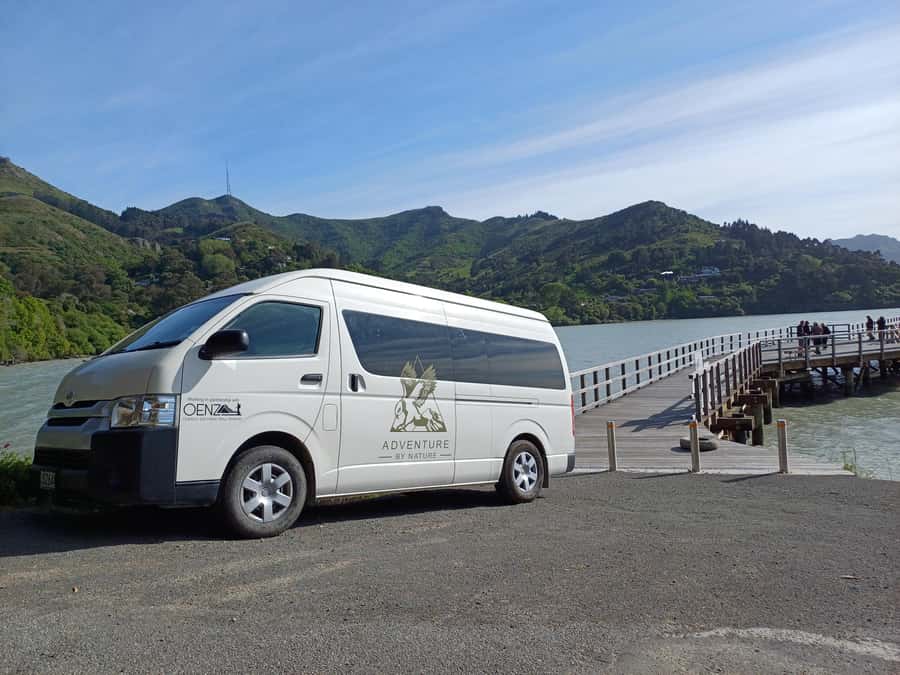 Christchurch: Sea Kayaking Tour of Lyttelton Harbour - Practical details for a smooth day