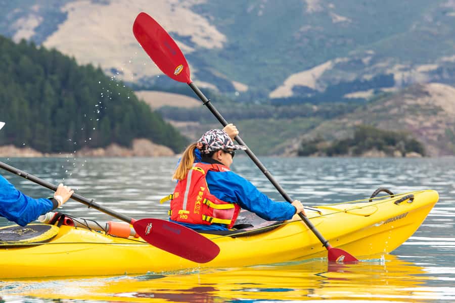 Christchurch: Sea Kayaking Tour of Lyttelton Harbour - Along the bays and cliffs of Whakaraupō