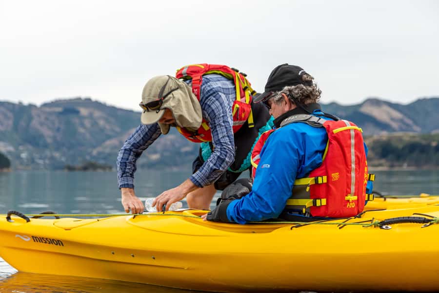 Christchurch: Sea Kayaking Tour of Lyttelton Harbour - The steamships and the northern caves