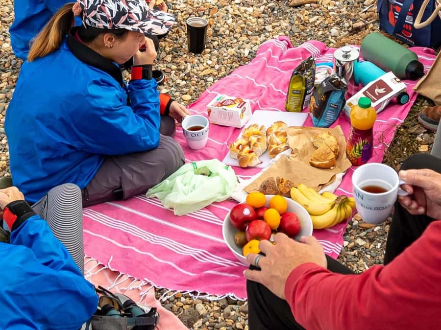 Christchurch: Sea Kayaking Tour of Lyttelton Harbour - Lunch, swimming, and time to slow down