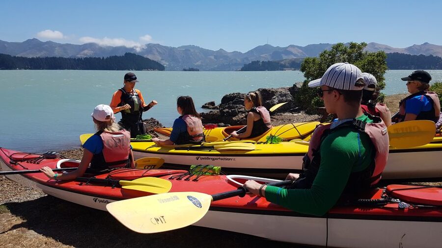 Christchurch: Sea Kayaking Tour of Lyttelton Harbour - How the guide shapes the day