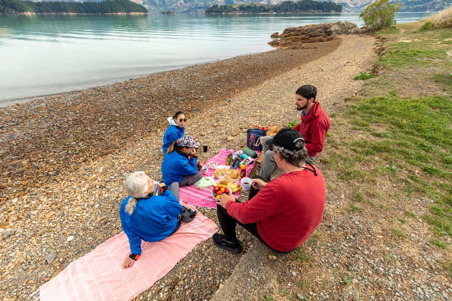 Christchurch: Sea Kayaking Tour of Lyttelton Harbour - Is $268 a fair price?
