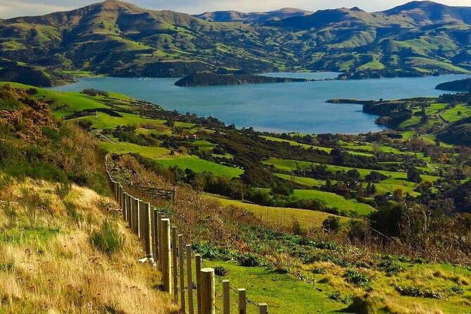 Christchurch Sheep Farm Visit - Who will enjoy this farm visit most