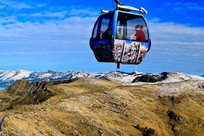 Christchurch Sightseeing Pass - How to fit all three into one or two days