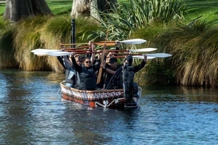 Christchurch: Waka Paddling Experience on the Avon River - Is $59 a fair price for one hour?