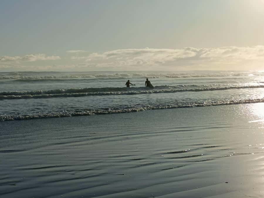 “City & Coast & Country” – A Relaxed Day Tour from Auckland - What this Auckland tour is really trying to do