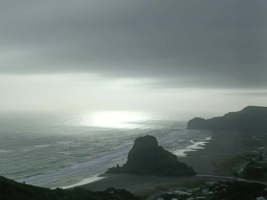 “City & Coast & Country” – A Relaxed Day Tour from Auckland - Muriwai’s black sand and Tasman Sea views