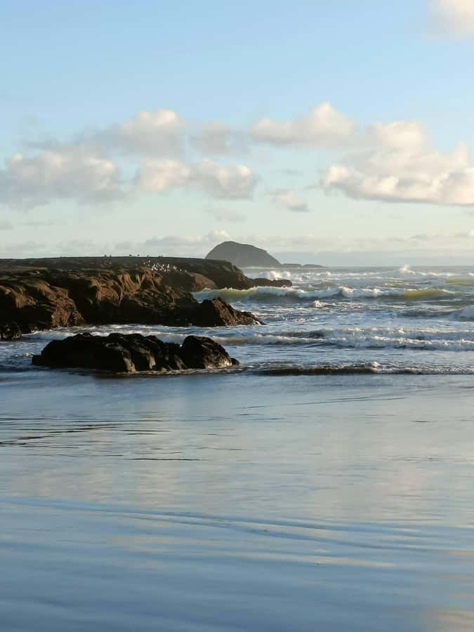 “City & Coast & Country” – A Relaxed Day Tour from Auckland - What the price includes, and what it does not
