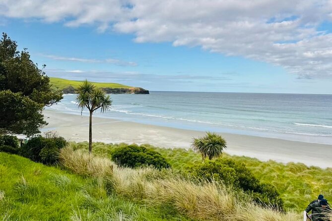 Clearwater Wildlife Tours (small group 10max) Otago Peninsula - Walking the beaches and reserve trails