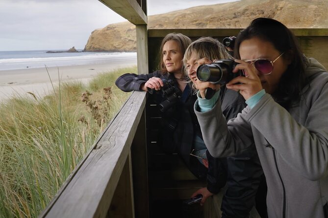 Clearwater Wildlife Tours (small group 10max) Otago Peninsula - How the tour handles wildlife responsibly