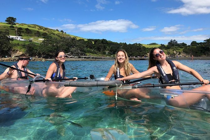 Clearyak hire at Goat Island Marine Reserve - Finding the meeting point under the pohutukawa tree