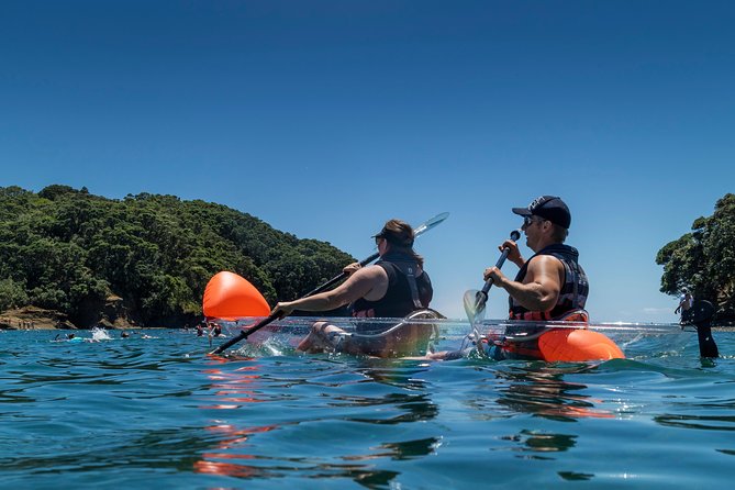 Clearyak hire at Goat Island Marine Reserve - The wet-knee reality and what to pack