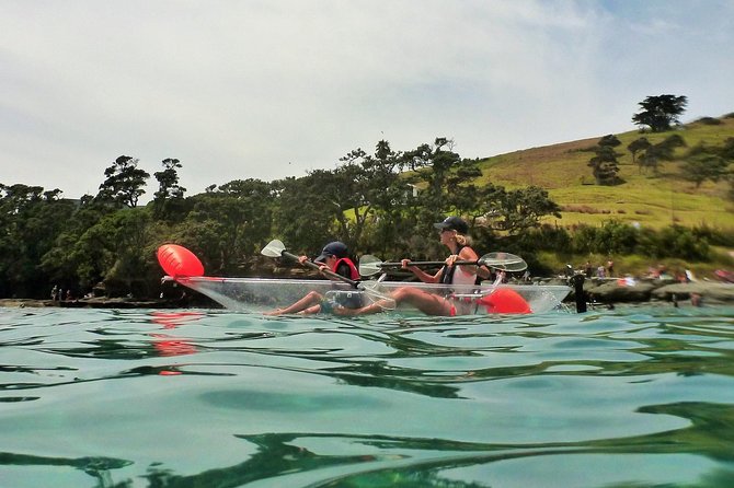 Clearyak hire at Goat Island Marine Reserve - Who will enjoy this Clearyak hire most
