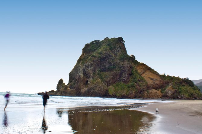 Coast and Rainforest Eco-Tour from Auckland with Picnic Lunch - Lunch, transport, and the value of $192.38