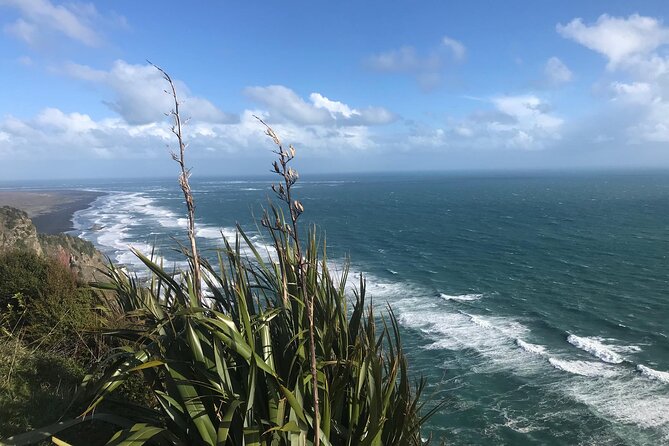 Coast and Rainforest Eco-Tour from Auckland with Picnic Lunch - Weather and clothing can shape your whole day