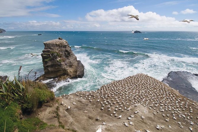Coast to Coast Private Eco Tour - Key points at a glance