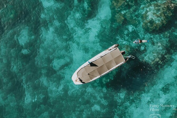 Coromandel Adventure and Wildlife Boat Tour to Aldermen Islands - Key points to know before you go
