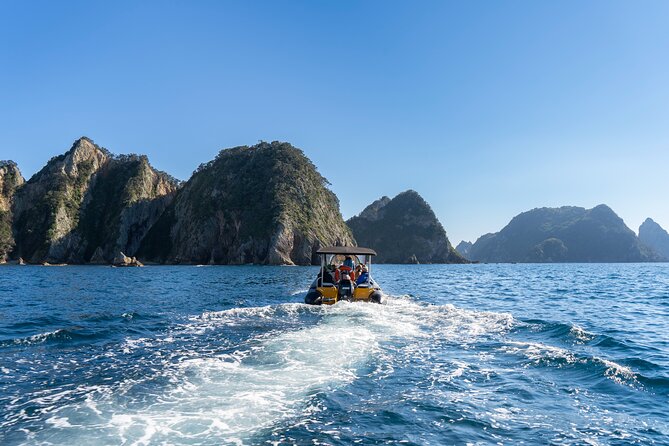 Coromandel Adventure and Wildlife Boat Tour to Aldermen Islands - Seasonal snorkeling and time in the water