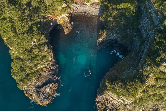 Coromandel Adventure and Wildlife Boat Tour to Aldermen Islands - What the $102.39 price really covers