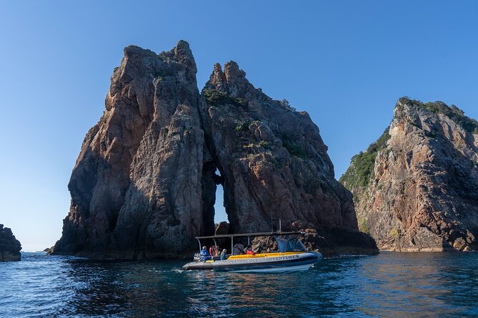 Coromandel Adventure and Wildlife Boat Tour to Aldermen Islands - Who will enjoy this boat tour most