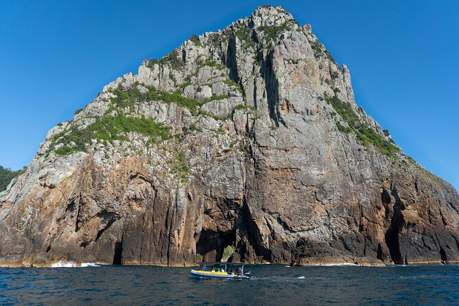 Coromandel Adventure and Wildlife Boat Tour to Aldermen Islands - Practical planning for a smooth morning