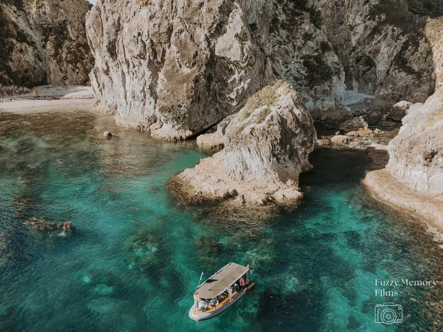 Coromandel: Aldermen Islands Marine Reserve Wildlife Cruise - Why the Aldermen Islands feel different from ordinary boat trips