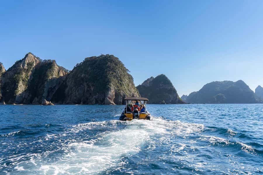 Coromandel: Aldermen Islands Marine Reserve Wildlife Cruise - Who should book this cruise?