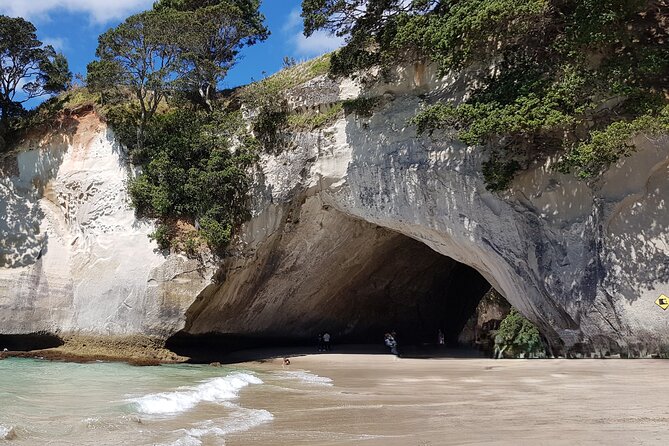 Coromandel Cathedral Cove Walk & Hot Water Beach Day Tour - Why this Coromandel day trip works
