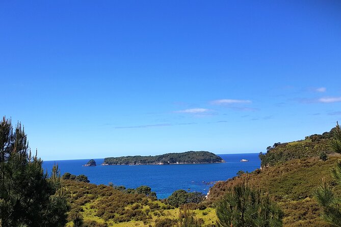 Coromandel Cathedral Cove Walk & Hot Water Beach Day Tour - Walking to Cathedral Cove
