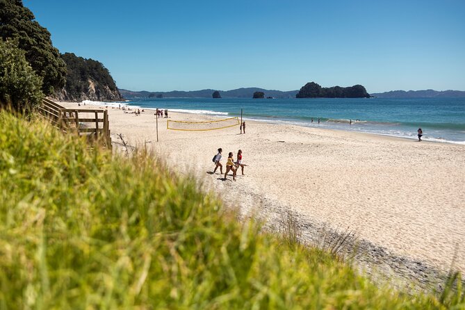Coromandel Cathedral Cove Walk & Hot Water Beach Day Tour - What Jaswinder adds to the day