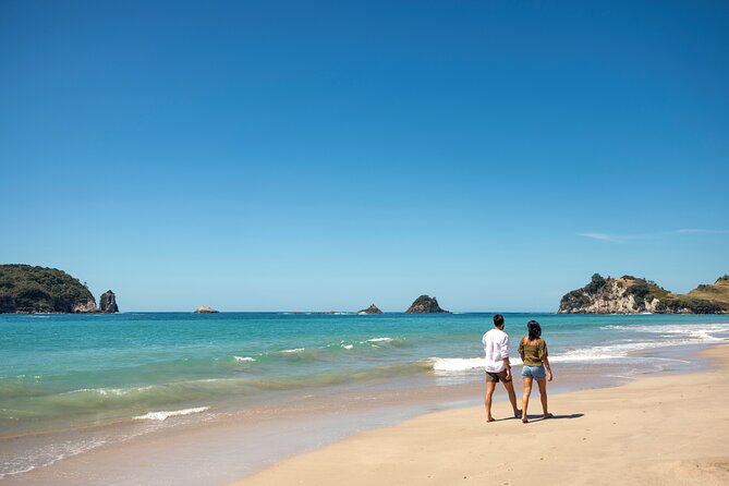 Coromandel Cathedral Cove Walk & Hot Water Beach Day Tour - Who should book this experience?