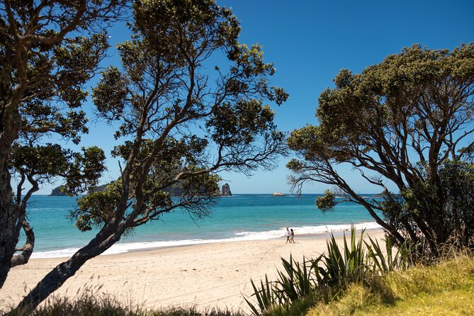 Coromandel Cathedral Cove Walk & Hot Water Beach Day Tour - The 6:30 am start from Auckland