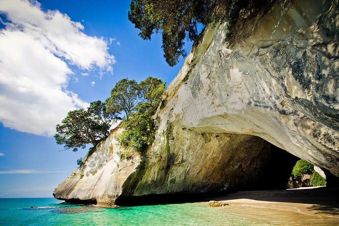 Coromandel Coastal Experience - Small Group Tour from Auckland - A 7:00 am start in Auckland