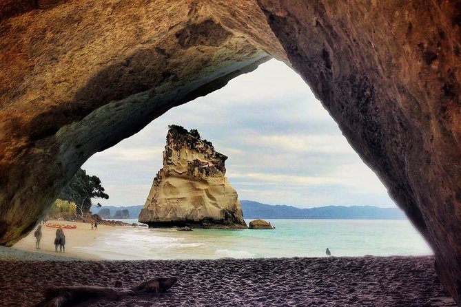 Coromandel Coastal Experience - Small Group Tour from Auckland - Hot Water Beach and the tide clock