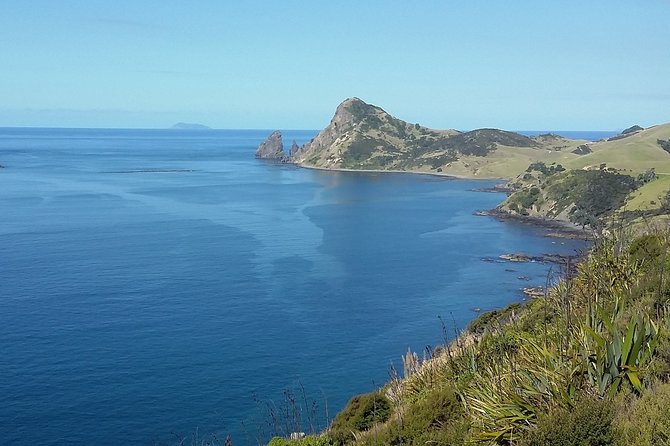 Coromandel Coastal Experience - Small Group Tour from Auckland - What the minibus setup adds