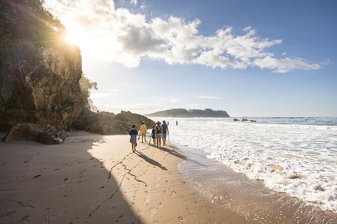 Coromandel Day Tour From Auckland - The three-hour journey from Auckland
