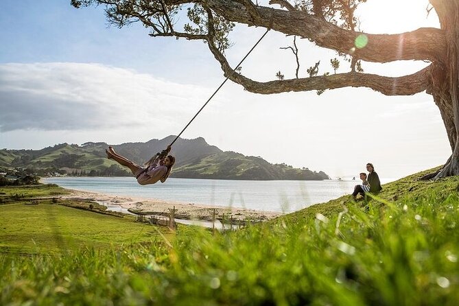 Coromandel Day Tour From Auckland - The guide, group size, and pace