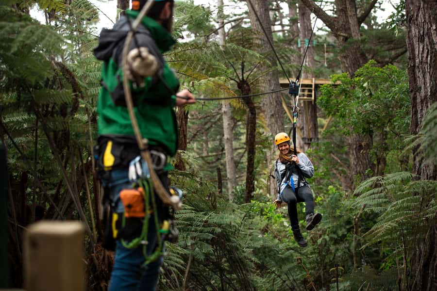Coromandel: Guided Zipline Tour Experience - Why this Coromandel zipline tour feels different