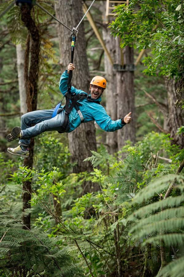 Coromandel: Guided Zipline Tour Experience - Walking beneath ferns and learning the forest story