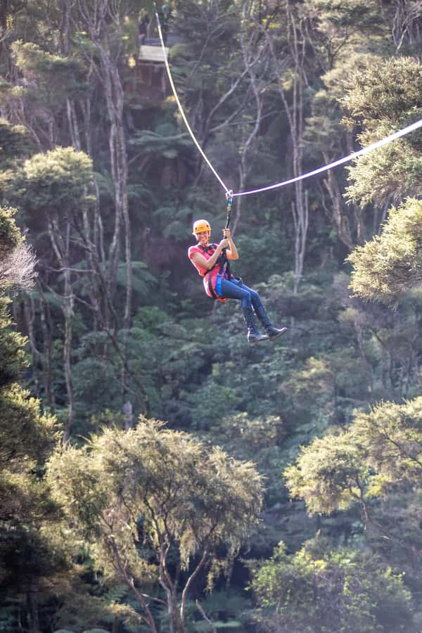Coromandel: Guided Zipline Tour Experience - Is $87 per person good value?