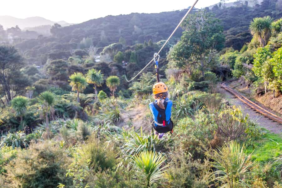 Coromandel: Guided Zipline Tour Experience - Who should book this activity?