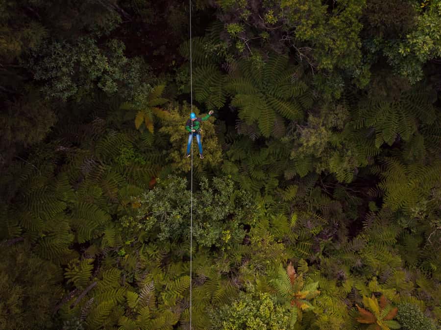 Coromandel: Guided Zipline Tour Experience - Before the first flight: fitting in and getting ready