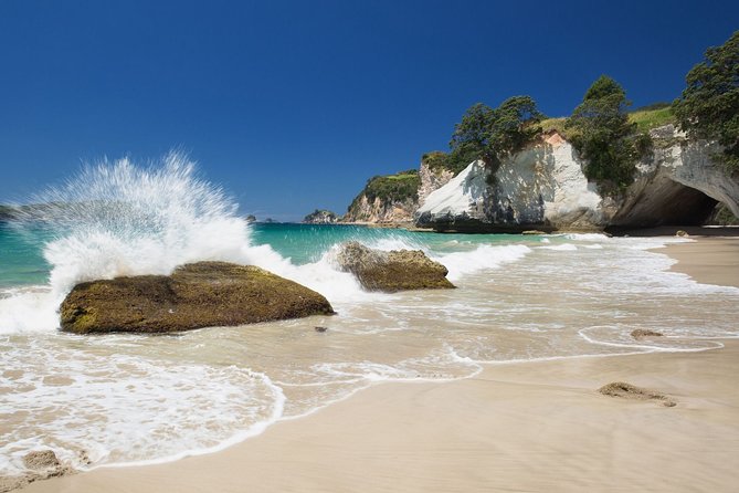 Coromandel Peninsula Discovery - Private Tour From Auckland - Why Coromandel Works as a Long Day Trip
