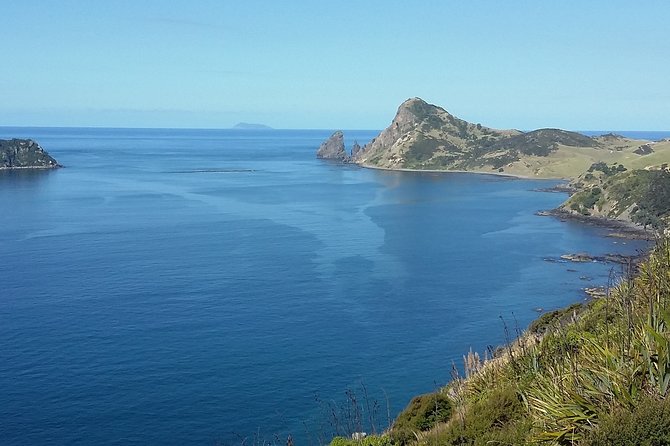 Coromandel Peninsula Discovery - Private Tour From Auckland - Lunch at Hot Waves Café