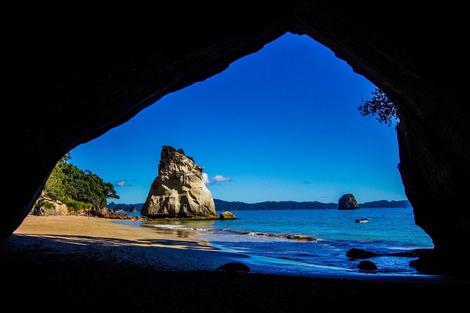 Coromandel Peninsula Discovery - Private Tour From Auckland - Hot Water Beach and the Tide Question