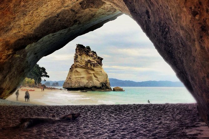 Coromandel Peninsula Discovery - Private Tour From Auckland - A Private Minibus With a Local Escort