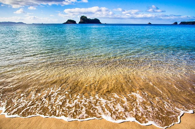Coromandel Peninsula Discovery - Private Tour From Auckland - What $650.98 Per Person Buys You